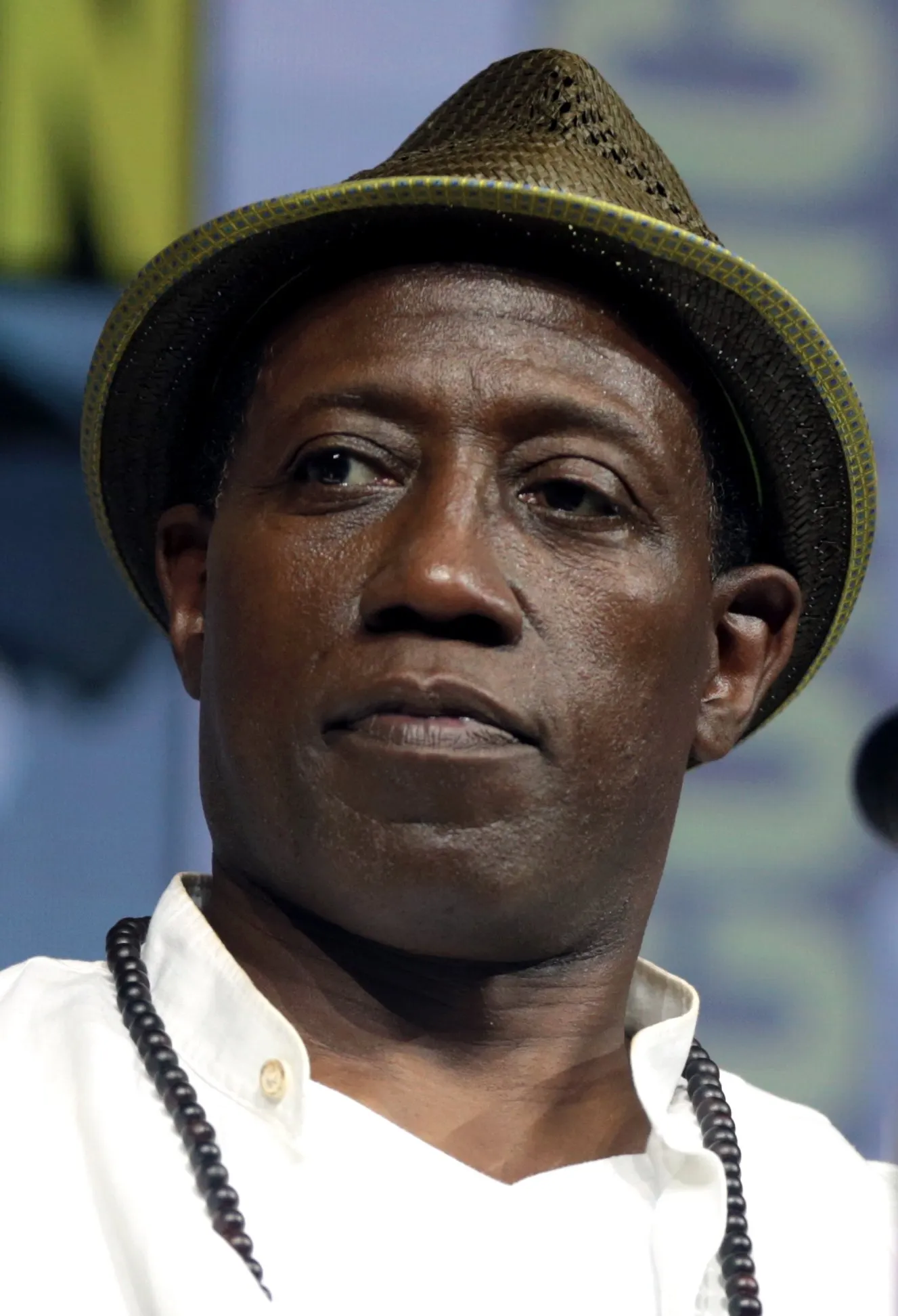 what-is-the-zodiac-sign-for-wesley-snipes-astrologyspark
