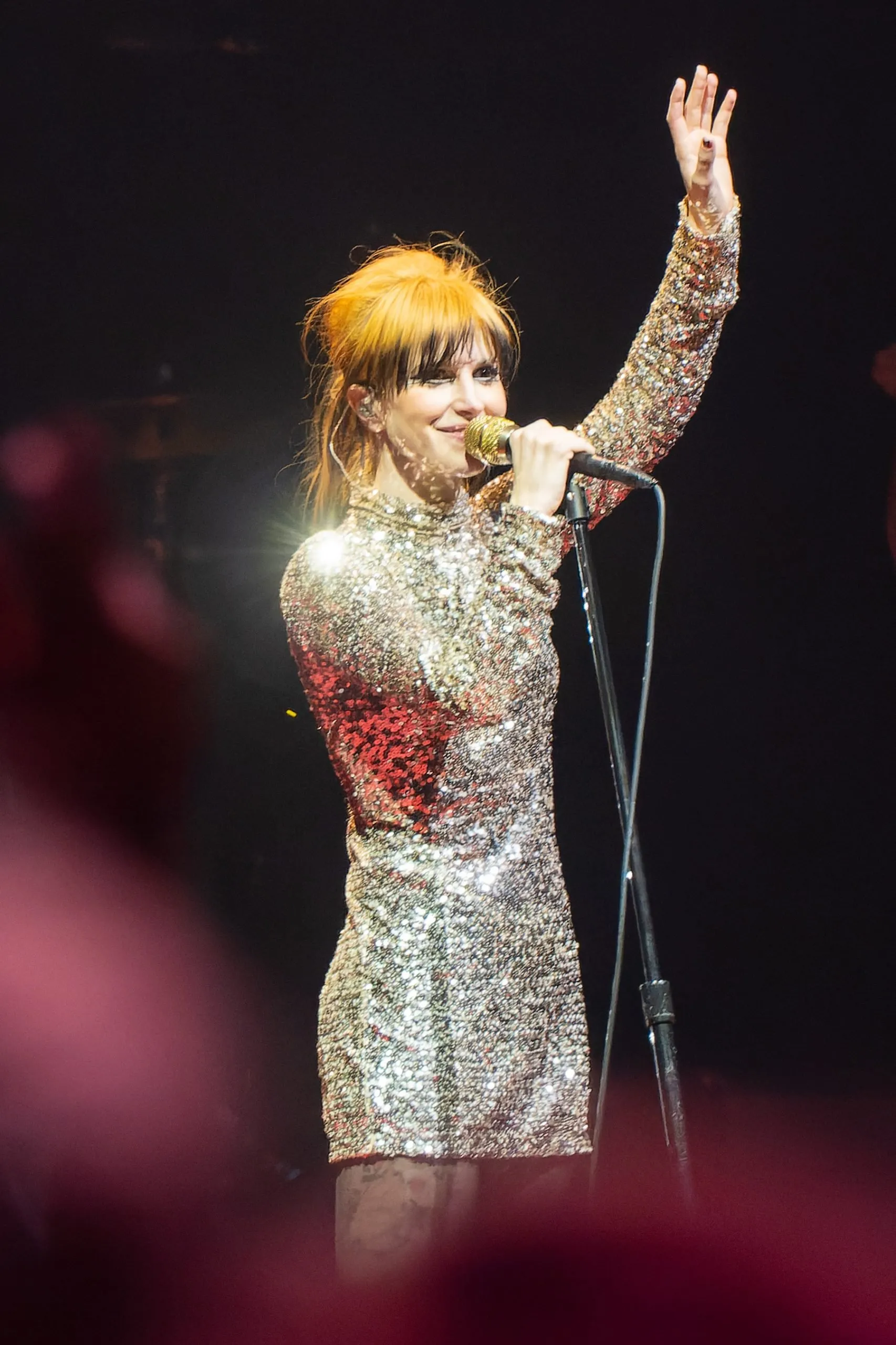 In What Astrological Sign was Hayley Williams Born? - AstrologySpark